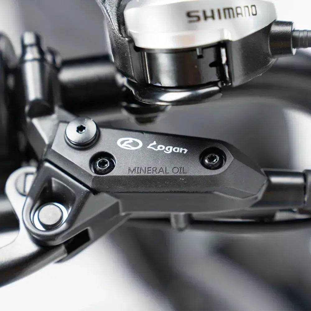 QMWheel V20 Pro fatbike in lichtgrijs, productfoto 7