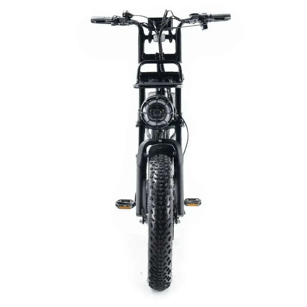 QMWheel V20 Pro fatbike in zwart, productfoto 4