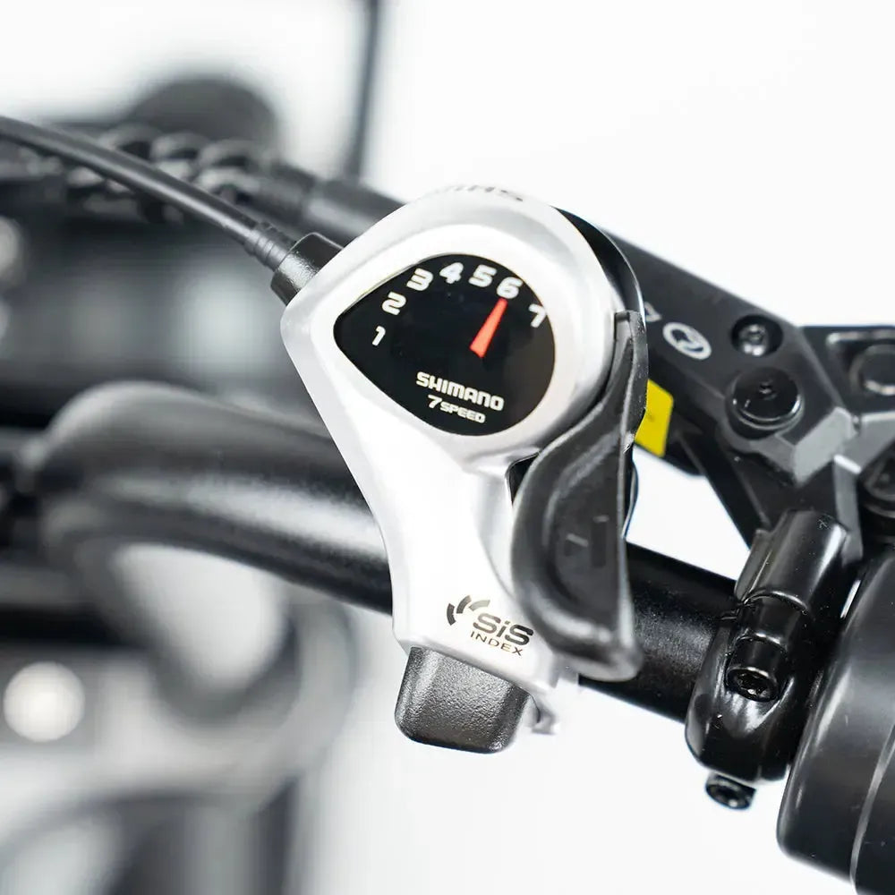 QMWheel V20 Pro fatbike in donkergrijs, productfoto 6