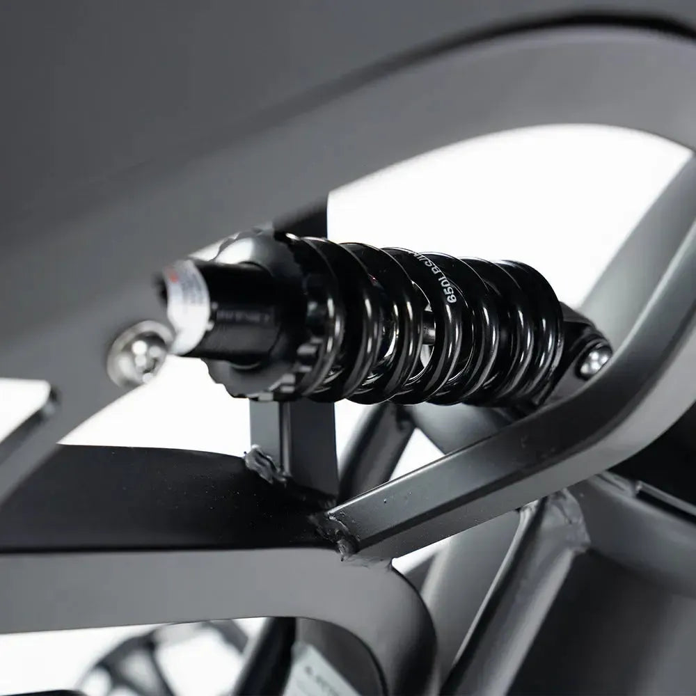 QMWheel V20 Pro fatbike in donkergrijs, productfoto 12