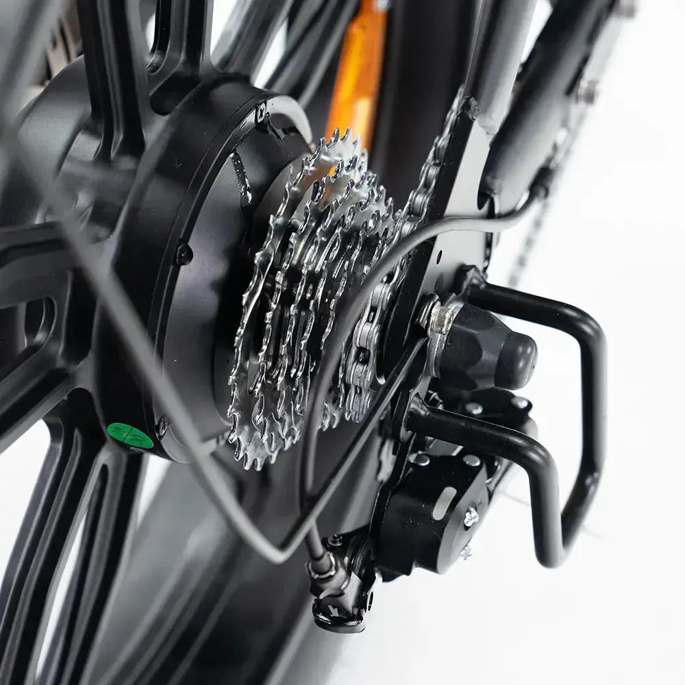 QMWheel V20 Pro fatbike in zwart, productfoto 17